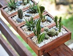 a wooden planter filled with lots of succulents