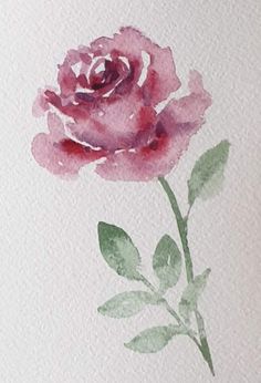 a watercolor painting of a pink rose on white paper with green leaves in the foreground