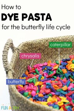 a basket filled with lots of different types of plastic beads and words describing how to dye pasta for the butterfly life cycle