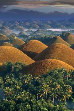 an aerial view of the chocolate hills in bohola, fiji with palm trees