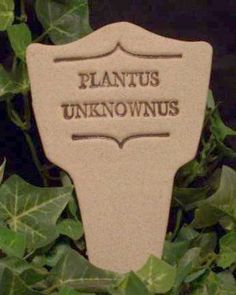 a plaque that says plantus unknown on it's side in front of some leaves