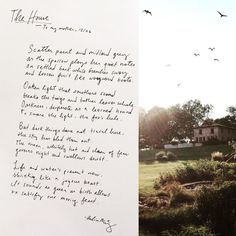 a handwritten letter is next to an image of birds flying in the sky above