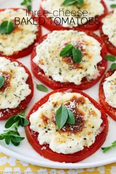 mini cheese and tomato cakes on a white plate with basil sprinkled on top