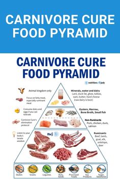 Carnivore Cure Food Pyramid Caveman Diet Food List, Lion Diet, Caveman Diet Recipes, The Carnivore Diet, Caveman Diet, Always Evolving, Fruit Diet, What Can I Eat, Meat Diet