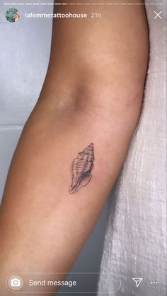 a small sea shell tattoo on the arm