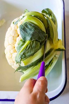 a person cutting up some vegetables on top of a white tray with blue trimmings