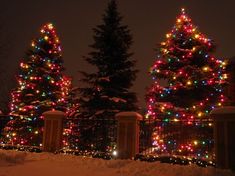 three christmas trees are decorated with multicolored lights in the snow near a fence