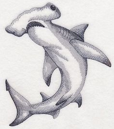 a drawing of a shark with it's mouth open