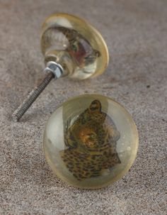 there are two glass knobs with animals in them on the sand and one has a screwdriver