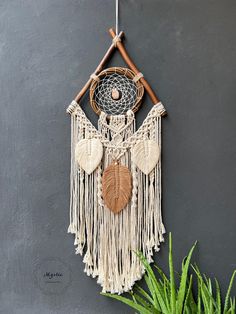 a dream catcher hanging on the wall next to a potted plant and some plants