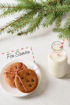 two cookies on a plate next to a bottle of milk