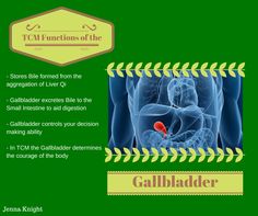 TCM functions of the Gallbladder Diy Massage, Shiatsu Massage Acupressure, Natural Pain Relievers