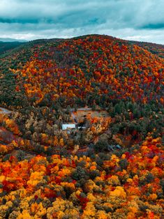 an aerial view of a forest with lots of trees