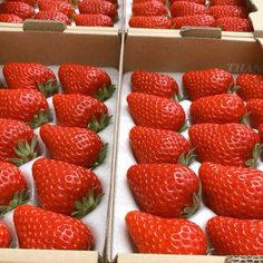 two boxes filled with lots of ripe strawberries