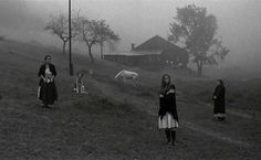 several people standing on a hill with horses in the background and foggy sky above