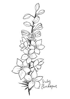 a drawing of flowers on a white background