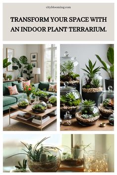 Indoor plant terrarium ideas for home decor, featuring various glass containers filled with greenery on a coffee table and shelves. Terrarium Kit, Vertical Garden Wall, Vertical Gardening