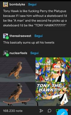 an image of a bird on top of a skateboard with caption below it