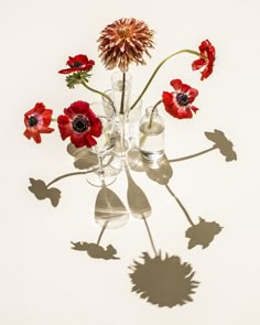 an arrangement of red flowers sitting in a clear vase on a white surface with long shadows