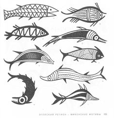 an old drawing of fish in different shapes and sizes