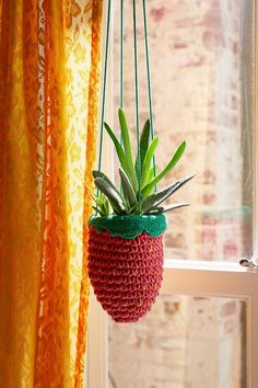 a potted plant hanging from a window sill