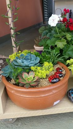 a potted plant sitting on top of a cardboard box filled with flowers and plants