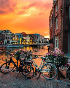 two bikes parked next to each other on the side of a river with buildings in the background