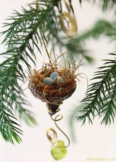 an ornament hanging from a pine tree with two eggs in it's nest