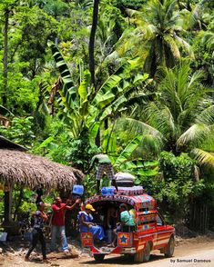 some people are standing near a small hut and palm trees on the side of the road