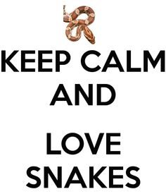 a poster with the words keep calm and love snakes in black on a white background