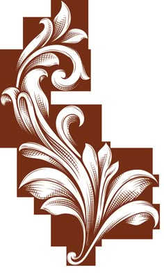 an ornate design with swirls and leaves in brown on a white background stock photo