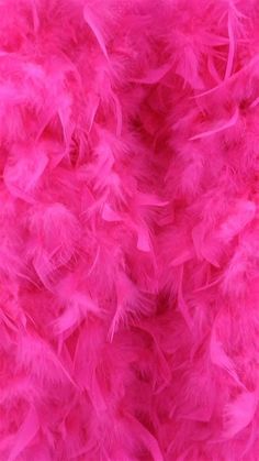 closeup of pink feathers on white background