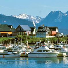 many boats are docked in the water near some houses and mountain range with snow on top