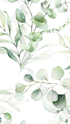 watercolor painting of green leaves and branches