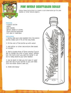 a bottle filled with pine needles on top of a white paper sheet that says pine needle observation bottle