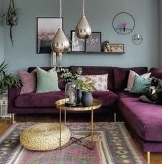 a living room with purple couches and gold accents