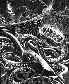 black and white drawing of an octopus