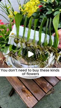 a bowl filled with lots of flowers on top of a wooden table next to a planter