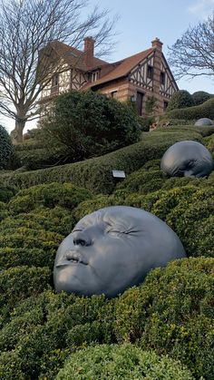 two large heads are in the bushes near a house