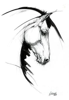 a black and white drawing of a horse's head