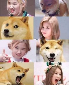 many different pictures of the same person with their dog's head in various poses