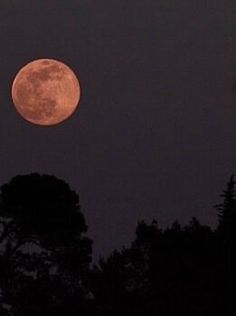 the full moon shines brightly in the night sky