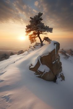 a lone tree sitting on top of a snow covered hill