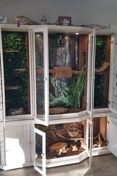 a white cabinet filled with lots of different types of plants in it's glass doors