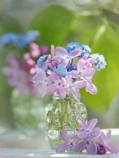 purple and blue flowers are in small glass vases