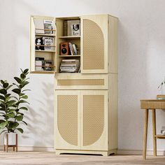 a room with a book shelf and a potted plant on the floor next to it