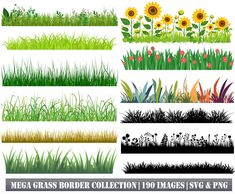 grass borders collection with flowers and plants