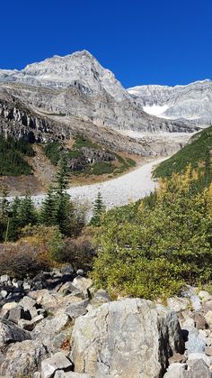 there are many rocks and trees in the mountains