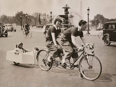 two women riding on the back of a bike with a dog in the front basket