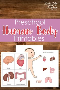 the preschool human body printables are displayed on top of a wooden table with text